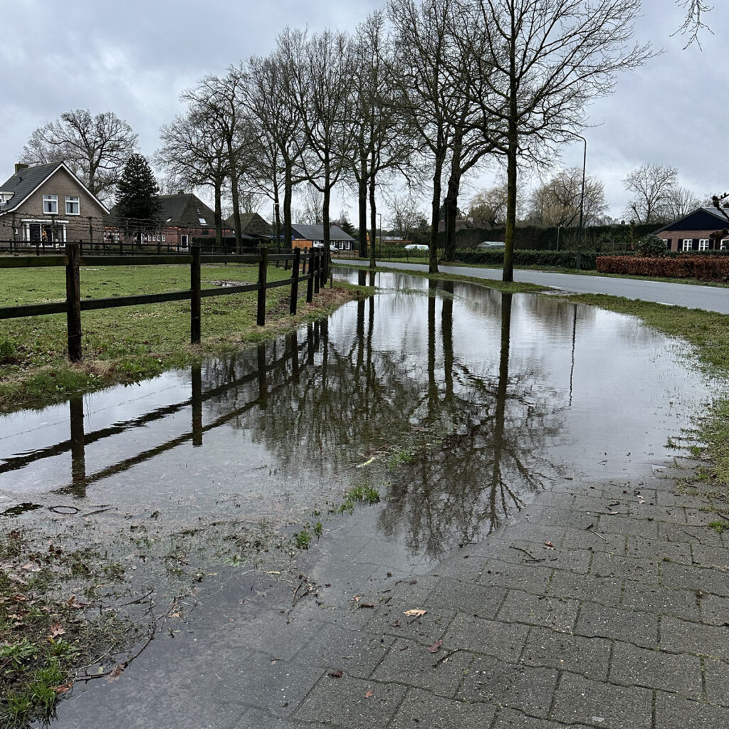 CD-SQ-07-1024x1024 Duurzaam