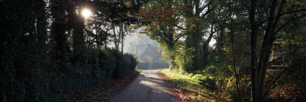 CD_Banner-01-1024x341 Home