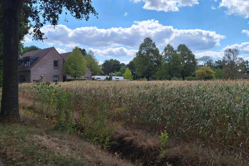 achterstraat-Cromvoirt--1024x683 Actueel